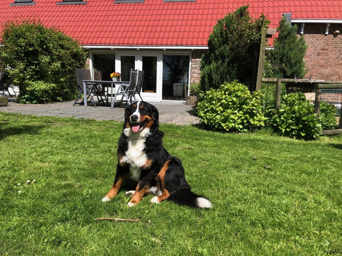 Appartementen Verhuur De Trijehoek Stiens Экстерьер фото